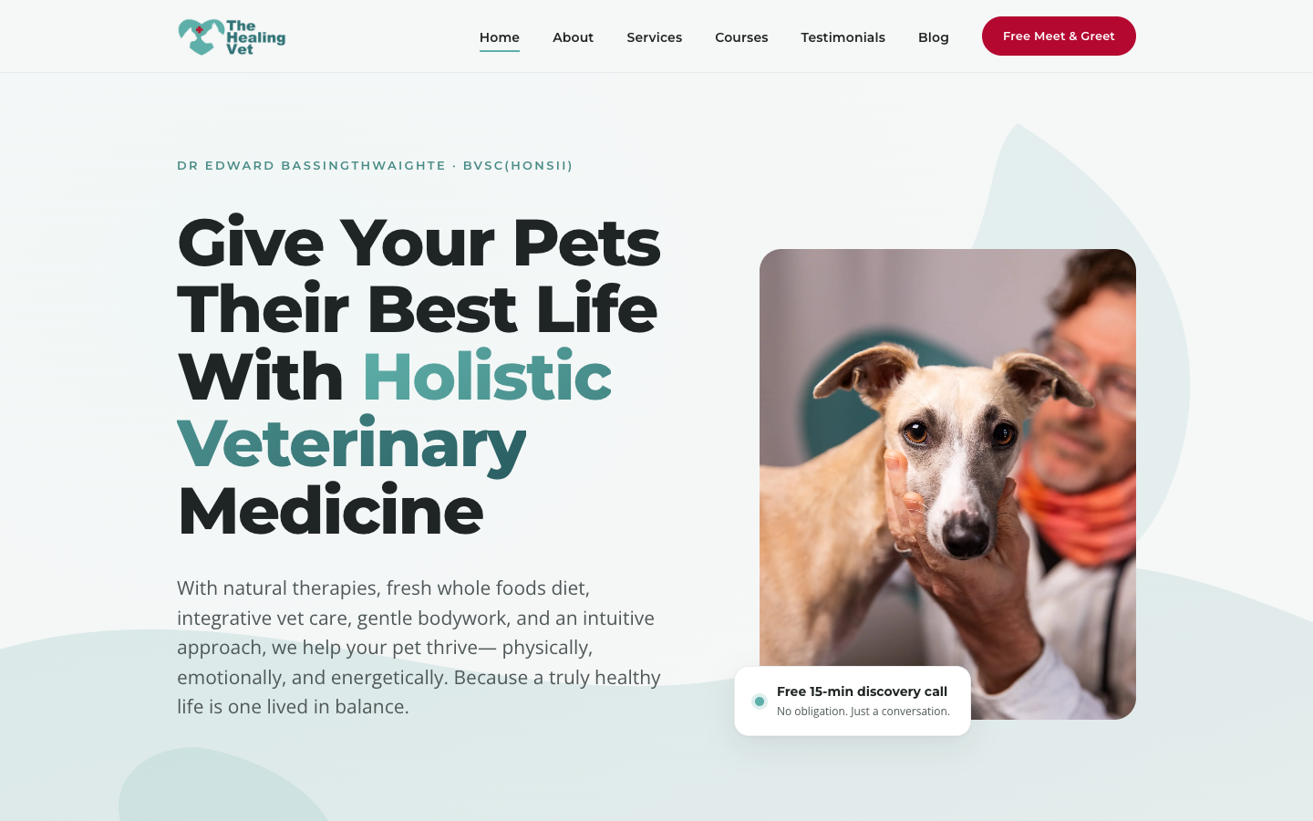 The Healing Vet homepage screenshot
